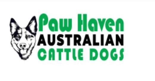 get_the_best_Australian Cattle Dog_ad